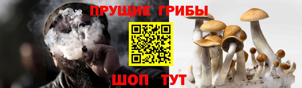 Галлюциногенные грибы прущие грибы Фролово